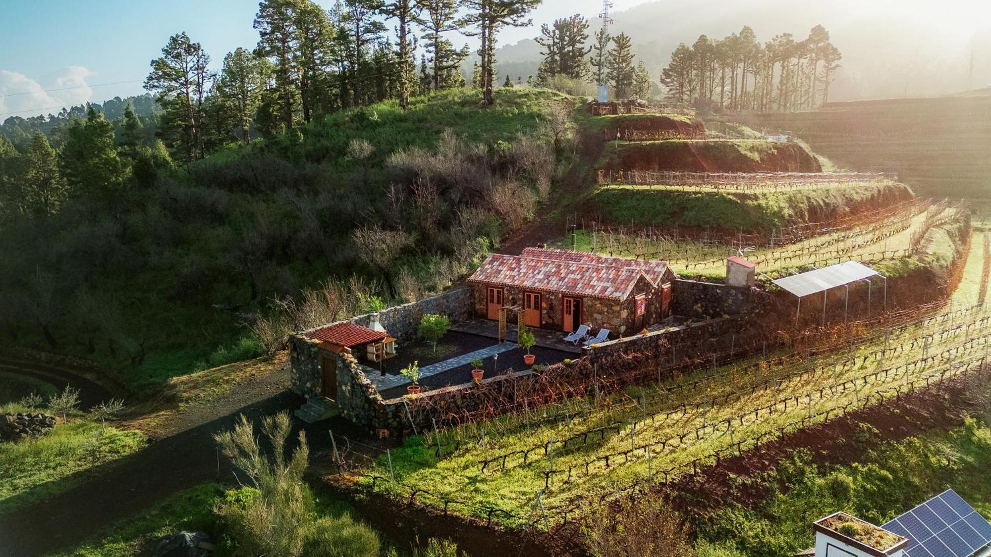 Finca Hortensia El Castillo  エクステリア 写真